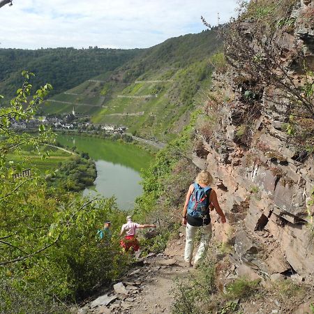 إيلينز-بولتيرسدورف Weingut Pension Hammes-Krueger المظهر الخارجي الصورة