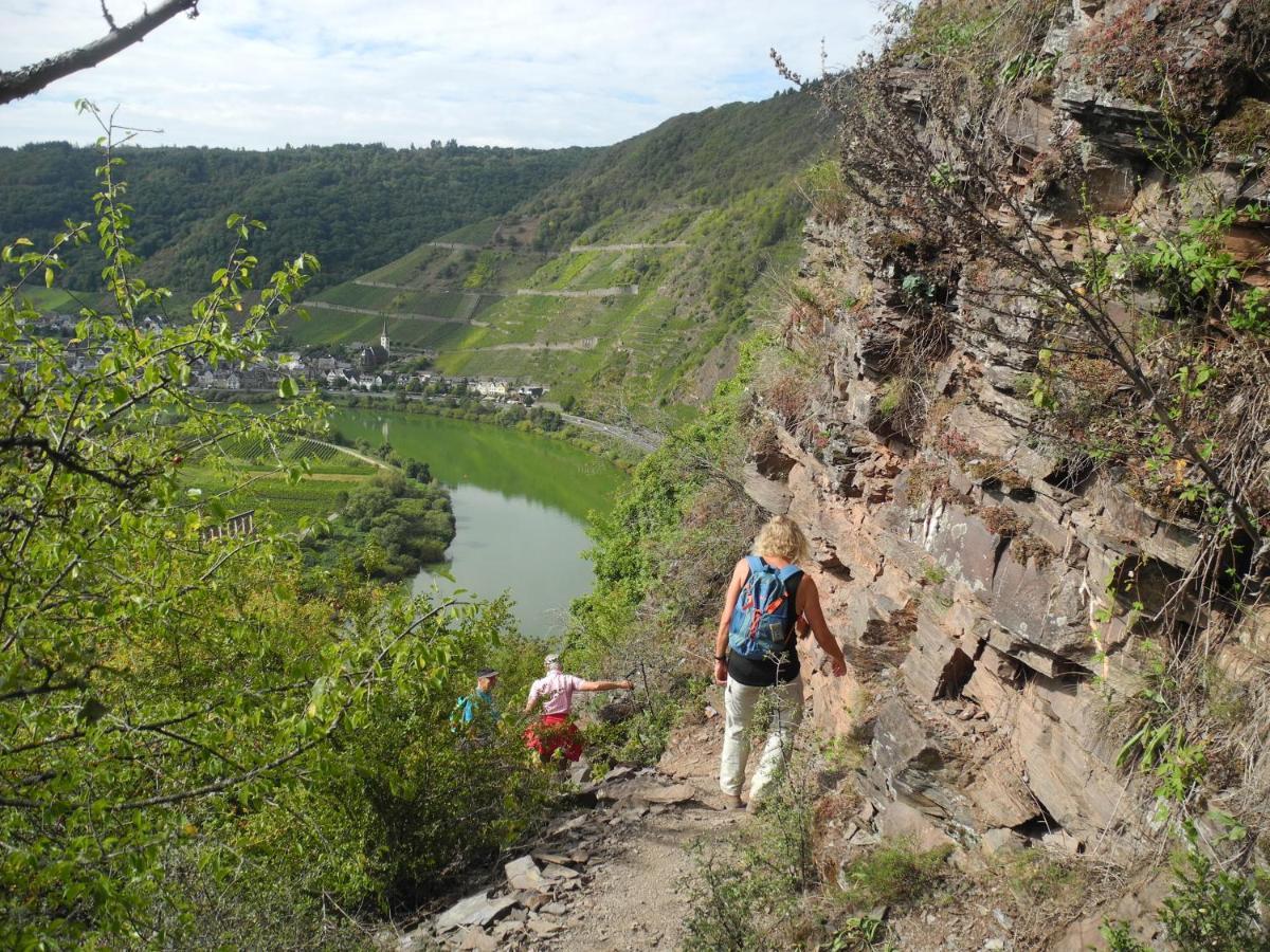 إيلينز-بولتيرسدورف Weingut Pension Hammes-Krueger المظهر الخارجي الصورة