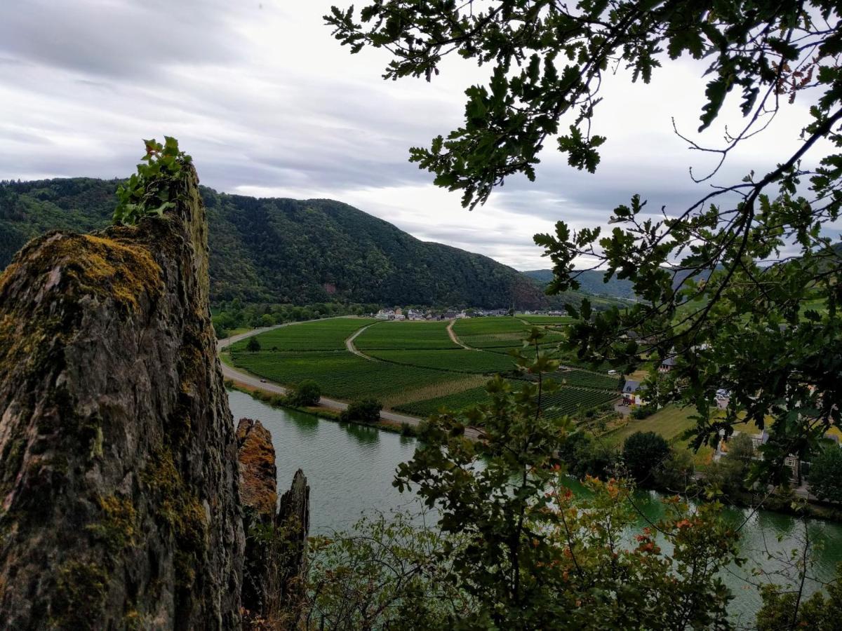 إيلينز-بولتيرسدورف Weingut Pension Hammes-Krueger المظهر الخارجي الصورة
